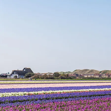 Chalet Luttikduin Nr 15 - Callantsoog aan Zee-2